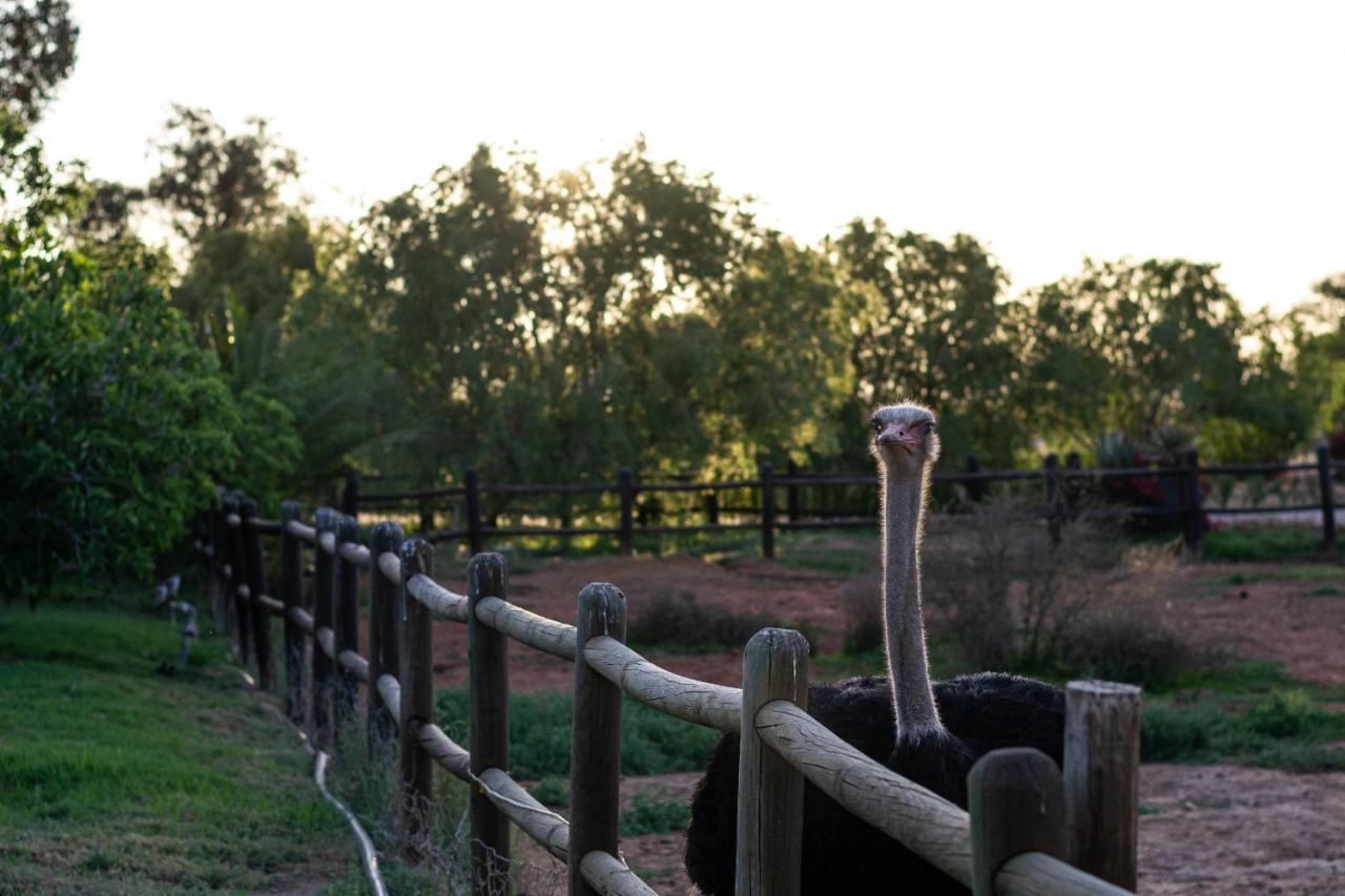 Mooiplaas Guesthouse Oudtshoorn Bagian luar foto